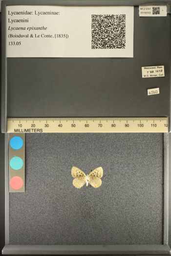 Media type: image;   Entomology 192552